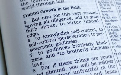 2 Peter 1:5-7: Spiritual Maturity Explained in Three Verses